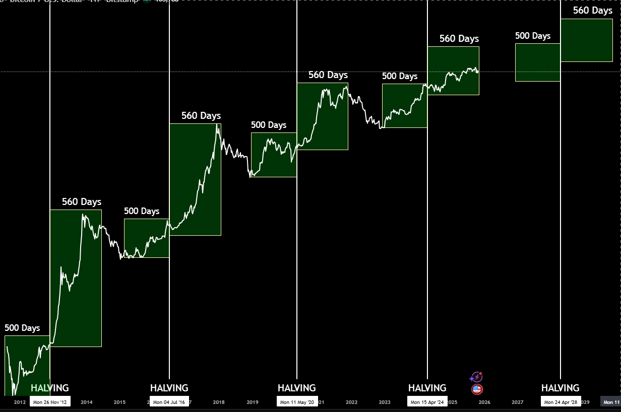 Early TradingView prototype showing the halving cycle zones