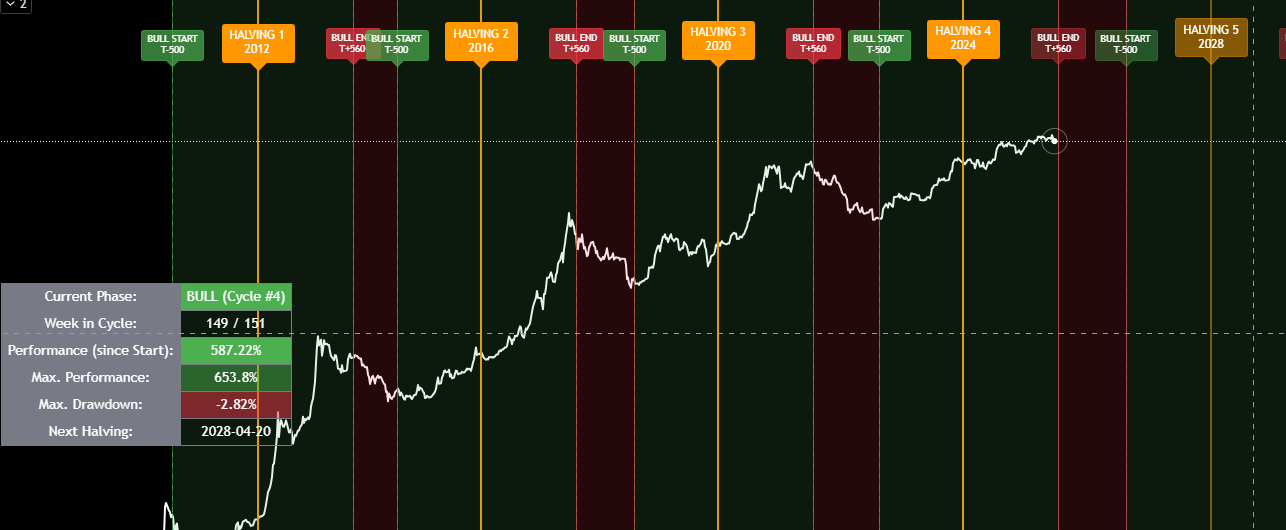 Production ready halving cycle strategy inside the web experience